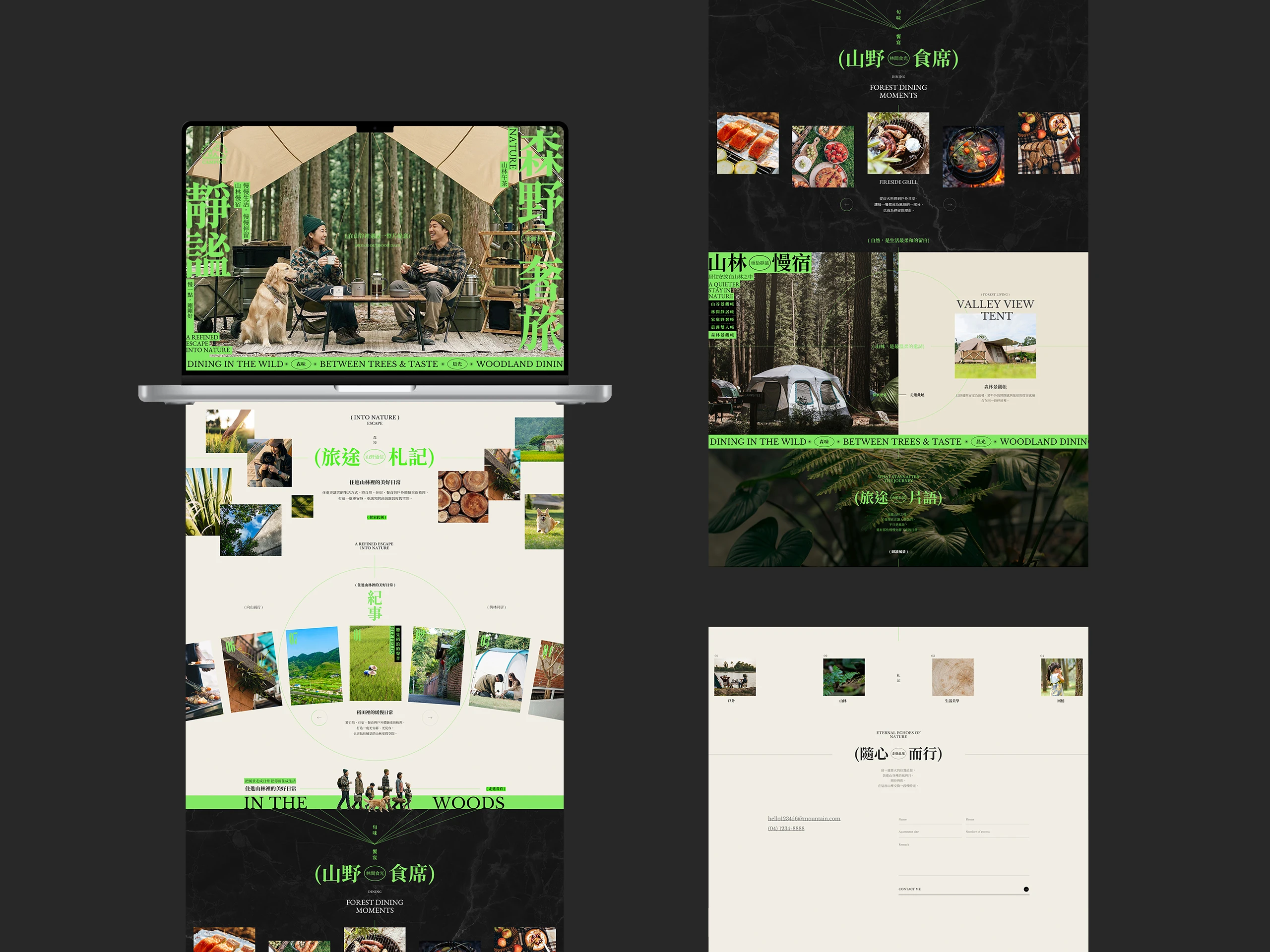 Project Overview