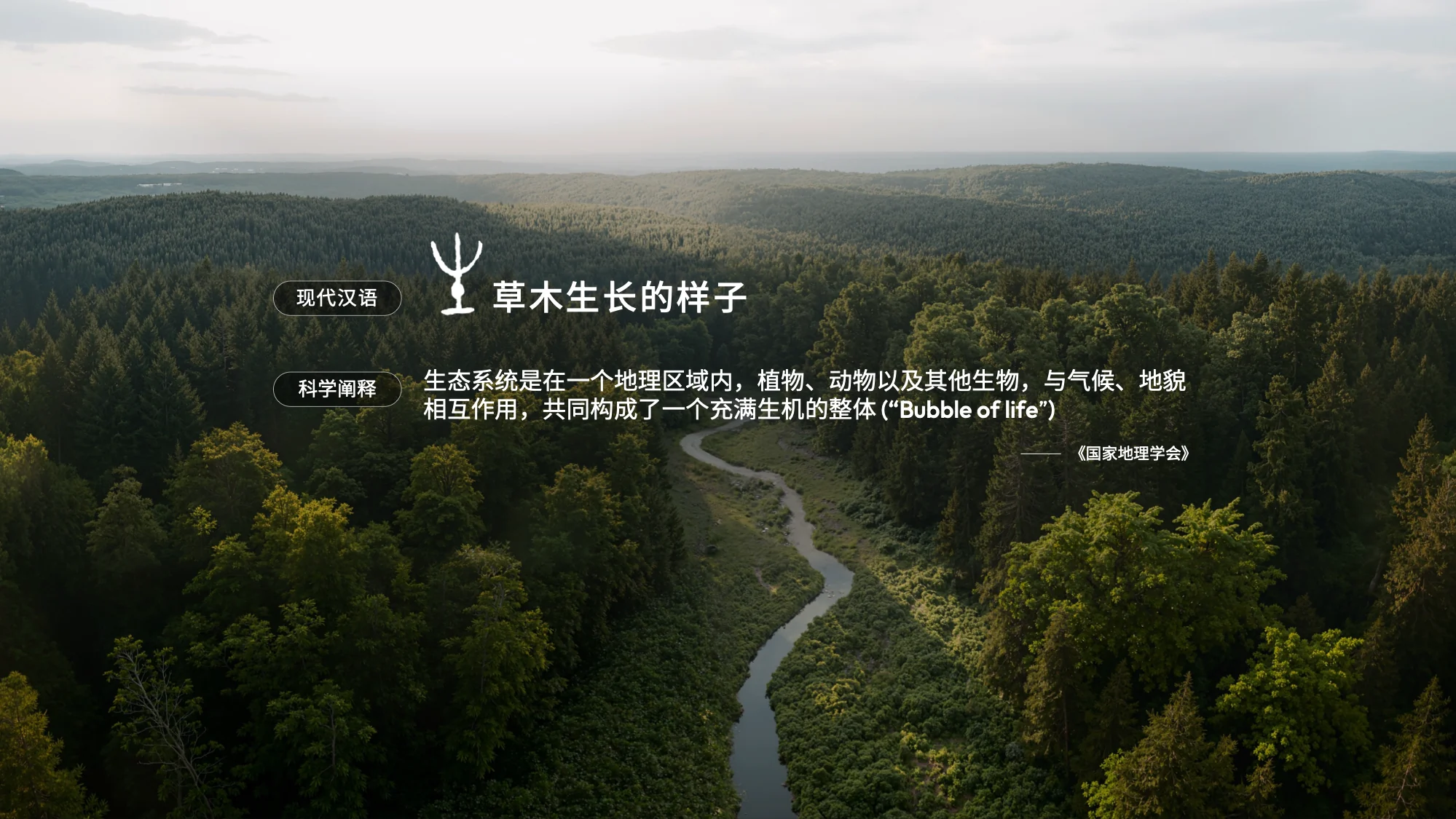 品牌系统重塑 02